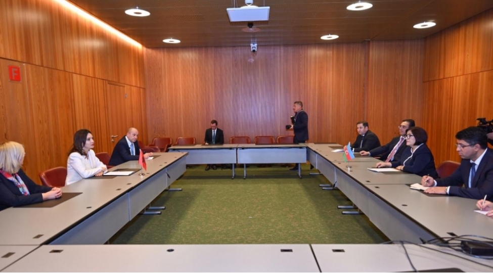 sahibe-qafarova-albaniyali-hemkari-ile-iki-olke-arasinda-emekdashligin-daha-da-genishlendirilmesini-muzakire-edib-foto