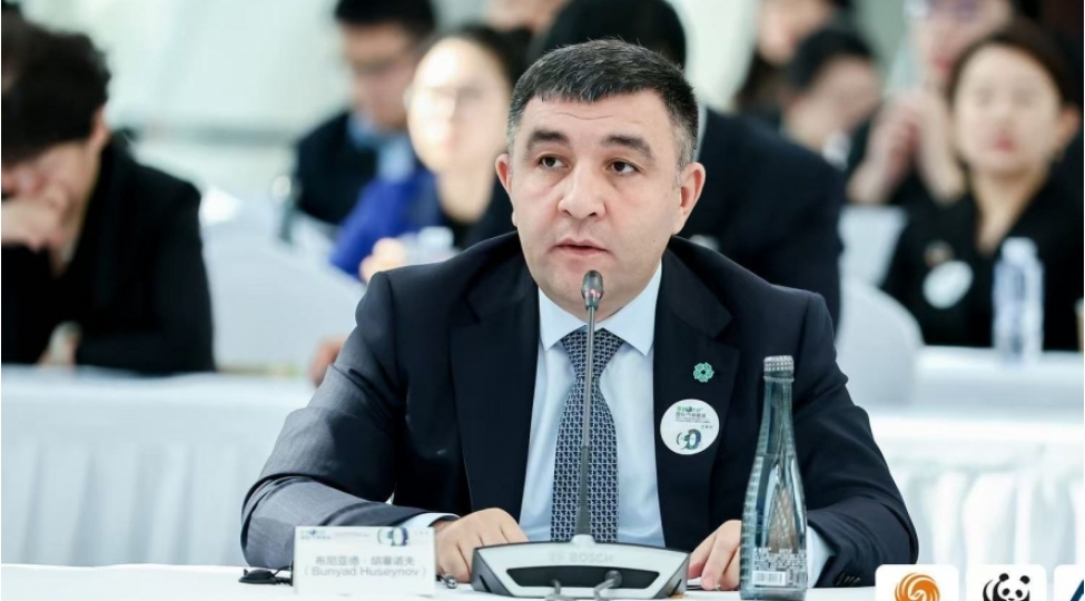 pekinde-cop29-dan-danishilib