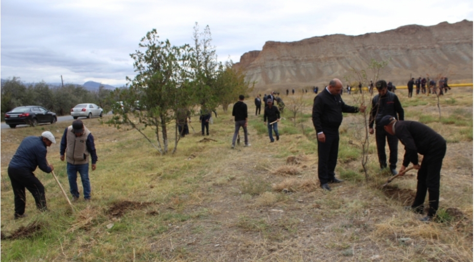 ordubad-rayonunda-genishmiqyasli-agacekme-aksiyasina-start-verilib-foto