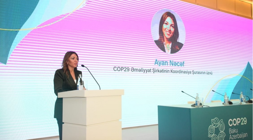 cop29-un-gundelik-tematik-proqrami-achiqlandi