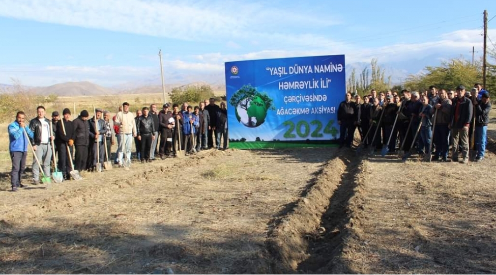 cop29-erefesinde-ordubadda-novbeti-yashillashdirma-tedbirleri-heyata-kechirilib-foto