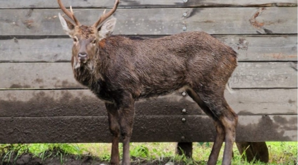 etsn-su-kanalindan-chixarilan-maral-shahdag-milli-parkinda-nezaret-altindadir