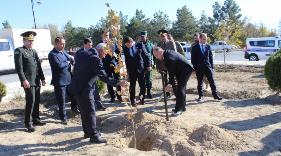 ordubad-rayonunda-novbeti-agacekme-aksiyasi-kechirilib-foto