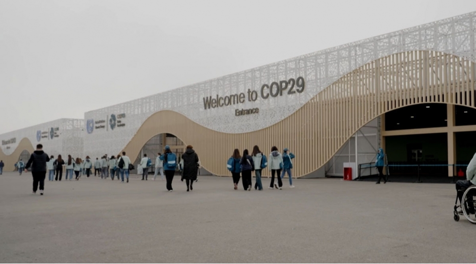 cop29-konulluluk-proqraminin-hazirliq-merhelesi-basha-chatib