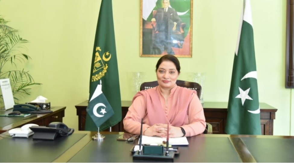 pakistan-numayende-heyeti-cop29-da-ishtirak-etmek-uchun-bakiya-gelib