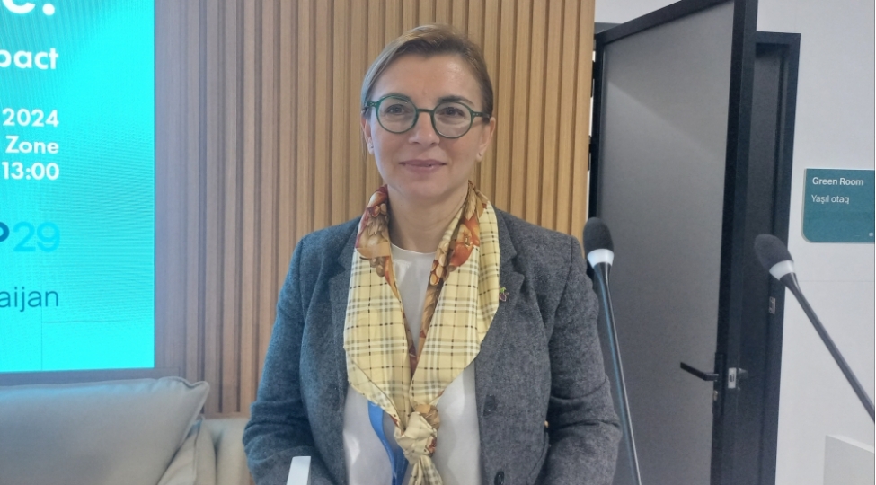 cop-29-un-proqrami-chox-zengindir-ebru-canan