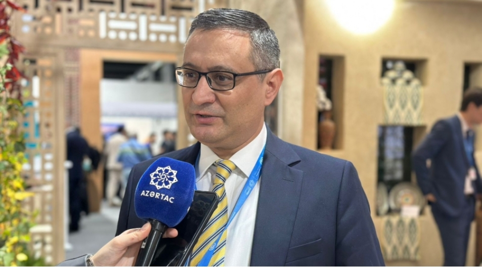 ozbekistan-numayende-heyetinin-uzvu-cop29-un-meqsedi-daha-effektiv-formatda-dialoqa-bashlamaqdir