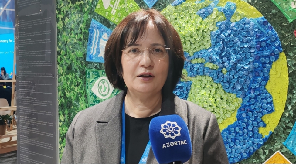 fatma-varank-cop29-un-oz-meqsedine-chatmasinda-azerbaycanin-terefinde-olacagiq