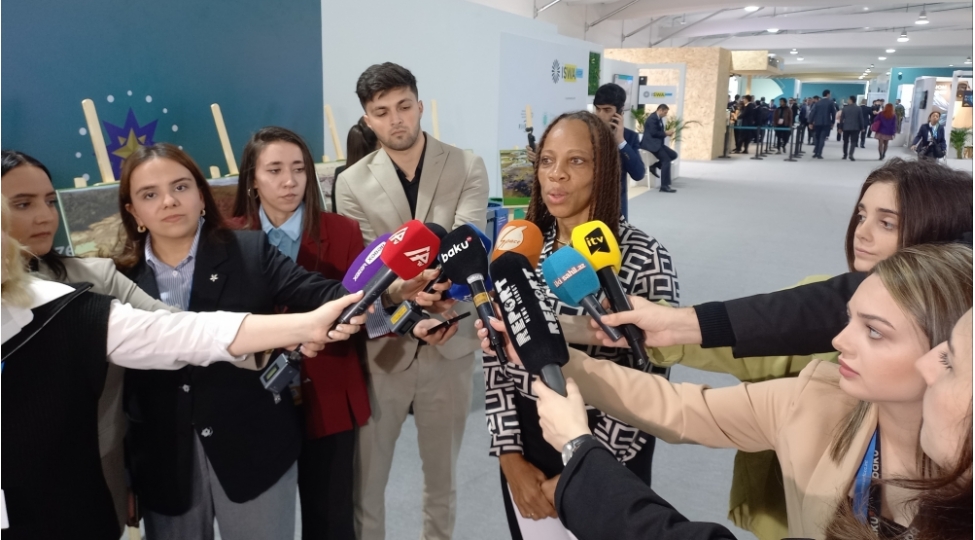sesimizi-dunyaya-chatdirmaq-imkanina-gore-azerbaycana-ve-cop29-platformasina-teshekkurumuzu-bildiririk-rhoda-arindell