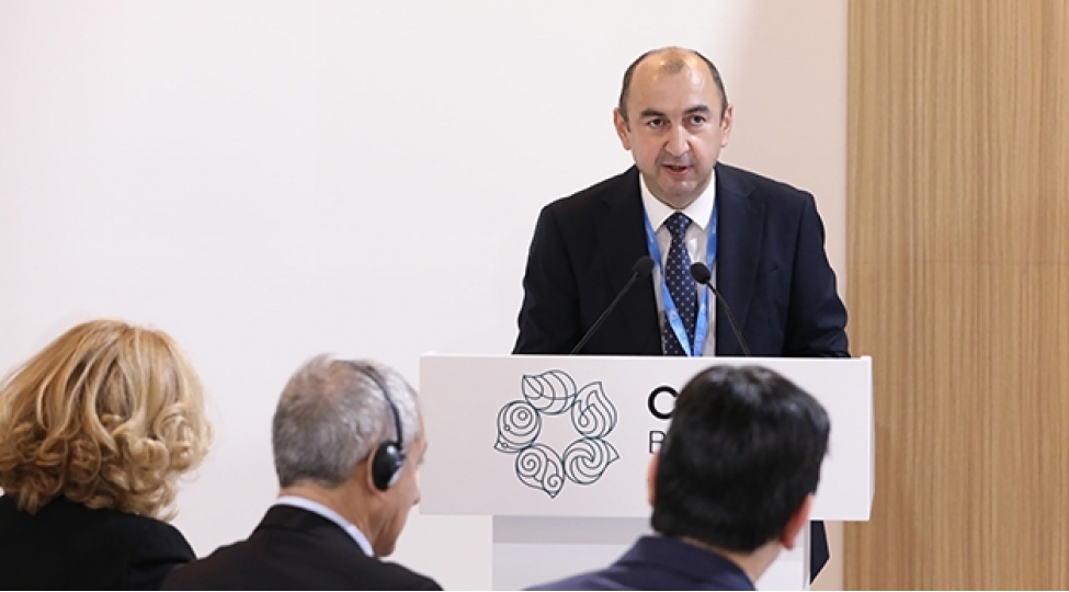 cop29-da-etraf-muhit-uzre-fealiyyetin-icmali-hesabati-foto