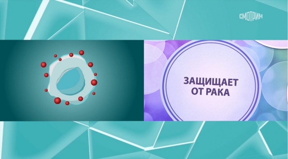 xerchengden-qoruyan-ve-yaglari-eriden-en-qiymetli-betain