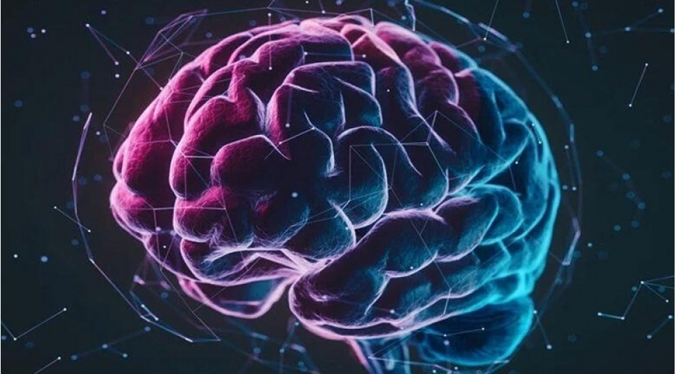 insan-beyni-komputerden-yavash-ishleyir-arashdirma