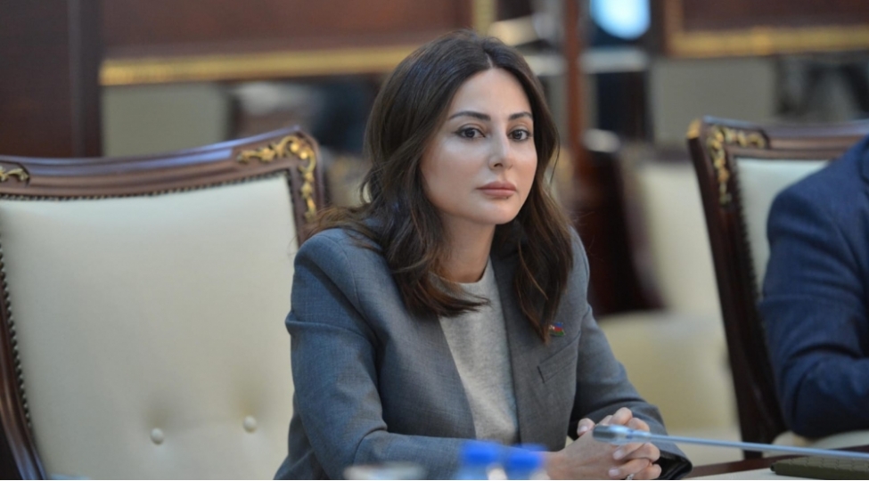 azerbaycanin-enerji-potensiali-emekdashliga-genish-imkanlar-yaradir