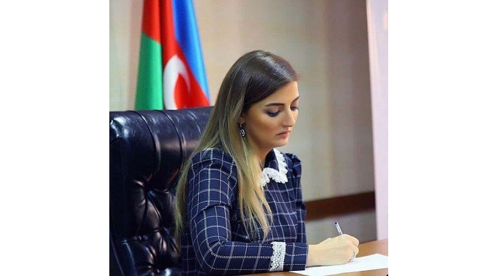 almaniya-ermenistani-sulh-manipulyasiyasindan-chekinmeye-chagirmalidir