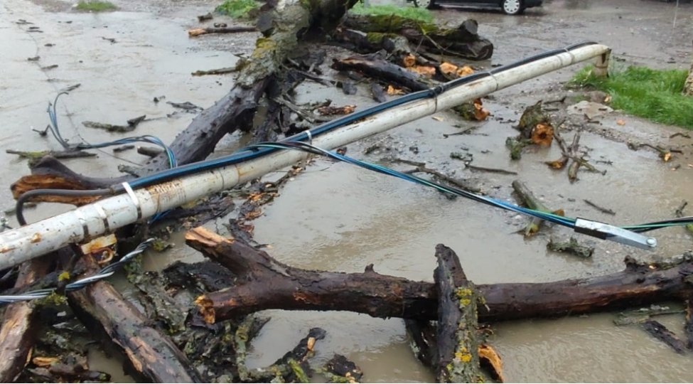 quba-xachmaz-avtomobil-yolunun-kenarinda-churumush-agac-asharaq-avtomobile-ve-elektrik-teserrufatina-ziyan-vurub-video