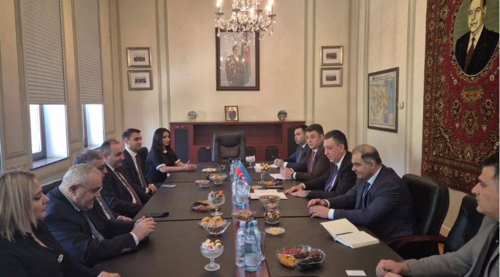 diasporla-ish-uzre-dovlet-komitesinin-numayende-heyeti-gurcustandadir