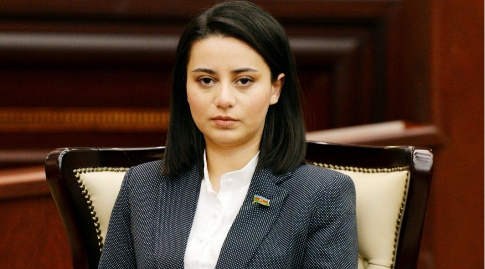 ailedaxili-konfliktler-mediada-dramatik-ve-ya-shokedici-shekilde-teqdim-edilmemelidir-achiqlama