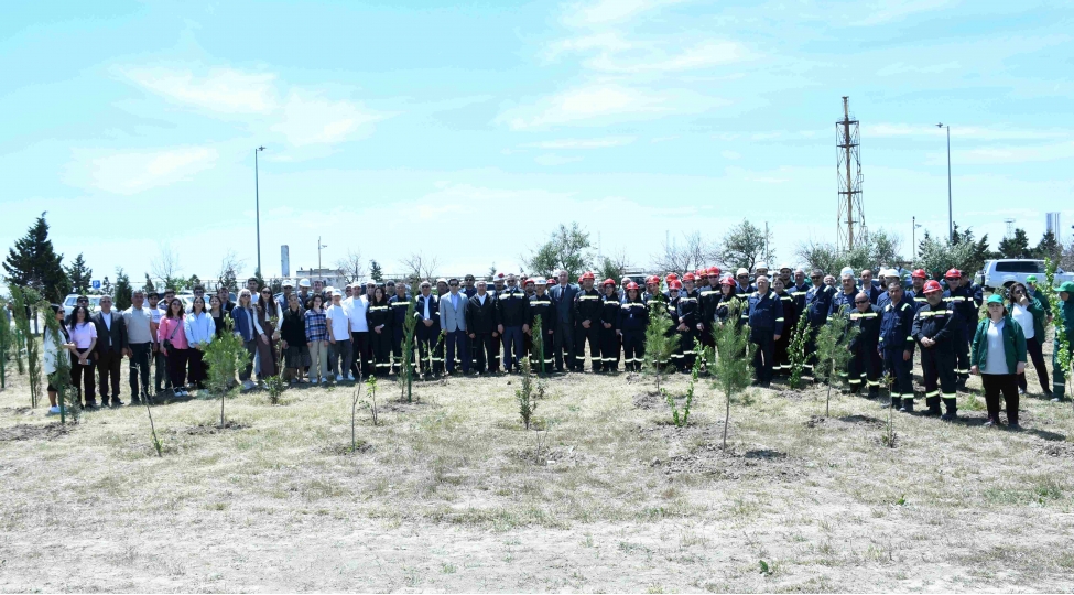 azerikimya-istehsalat-birliyi-ve-yap-sumqayit-sheher-teshkilati-birge-agacekme-aksiyasi-kechirib-foto