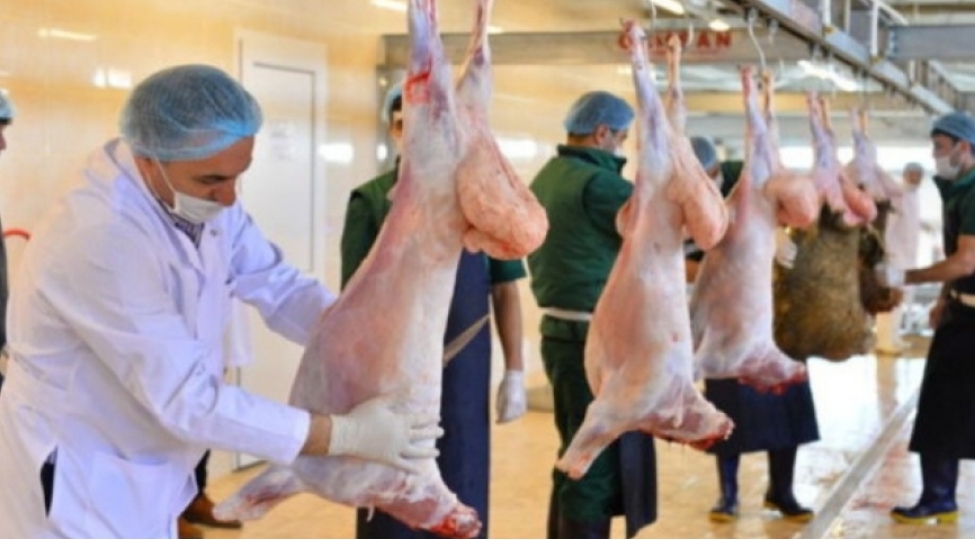 qurbanliq-heyvanin-kesimi-zamani-hansi-teleblere-emel-edilmelidir