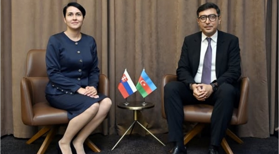 ferid-qayibov-slovakiyanin-idman-meseleleri-uzre-dovlet-katibi-ile-gorushub