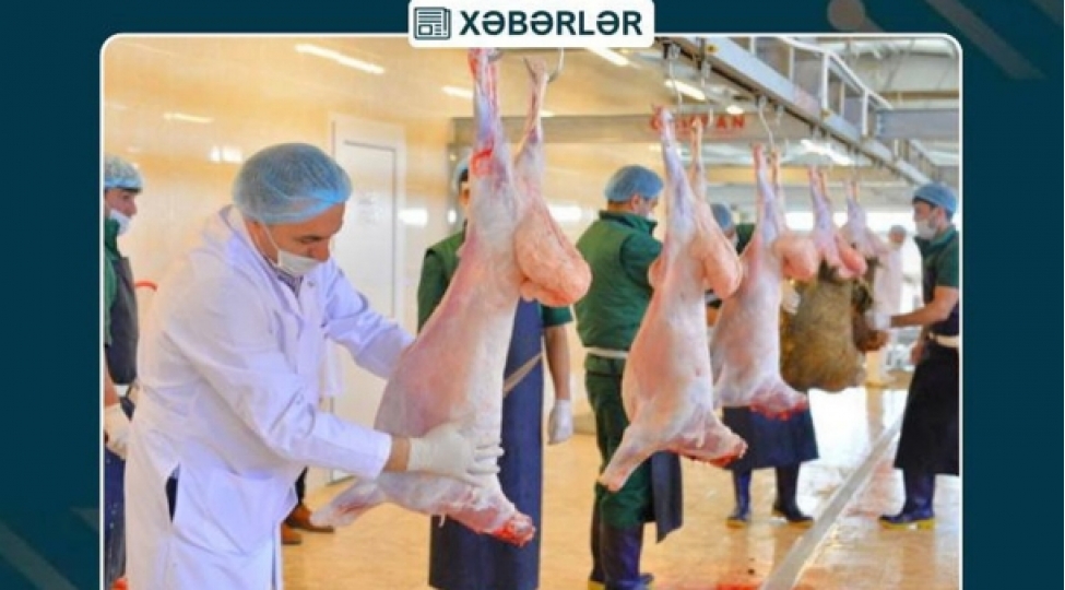 muxtar-respublika-uzre-8-unvanda-qurbanliq-heyvanlarin-satishi-ve-kesimi-xidmetleri-teshkil-olunacaq