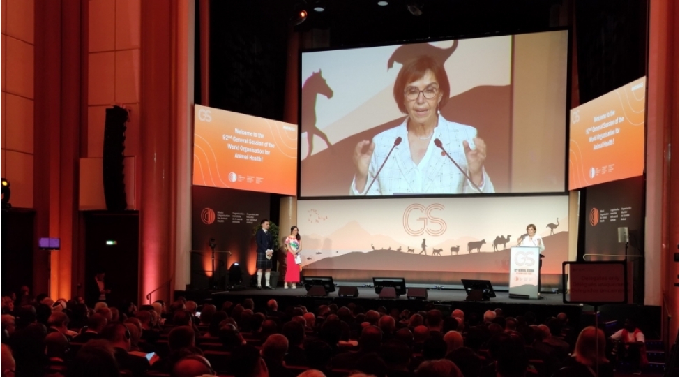 azerbaycan-numayende-heyeti-uhst-nin-92-ci-bash-sessiyasinin-achilishinda-ishtirak-edib