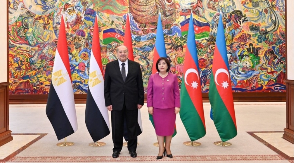 sahibe-qafarova-misir-senatinin-sedri-ile-gorushub-2