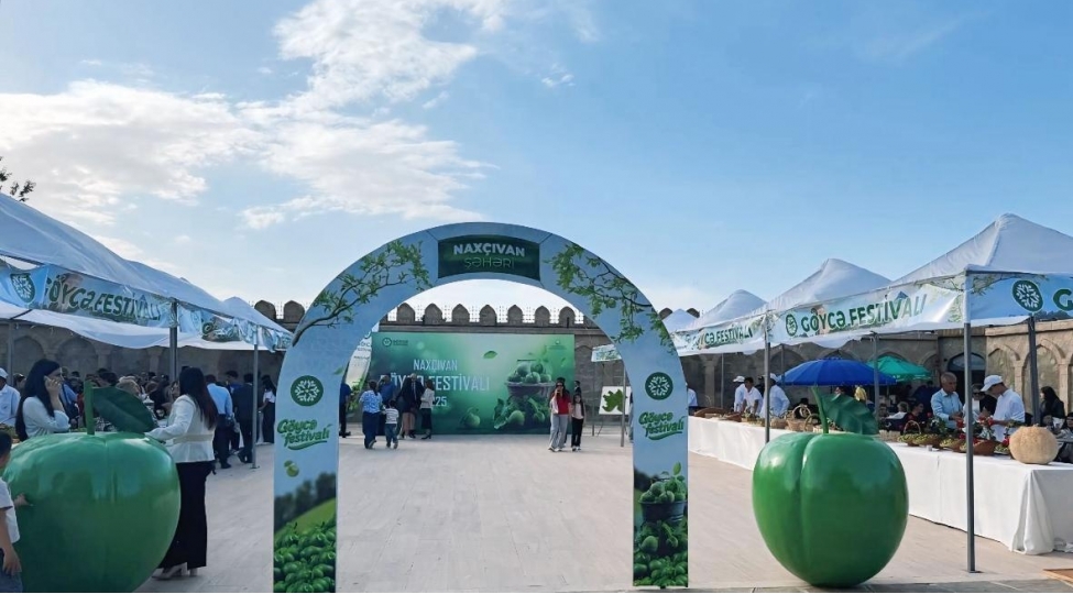 goyce-festivalinda-naxchivan-sheher-stendine-boyuk-maraq-gosterilib