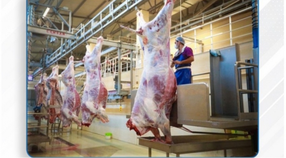 qurbanliq-heyvanlarin-satishi-ve-kesimi-xidmetleri-gosterilecek-unvanlar-achiqlanib-xeberiniz-olsun