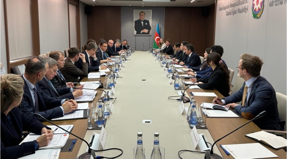 azerbaycan-ile-shimal-ve-baltik-dovletleri-arasinda-emekdashliq-meseleleri-muzakire-olunub