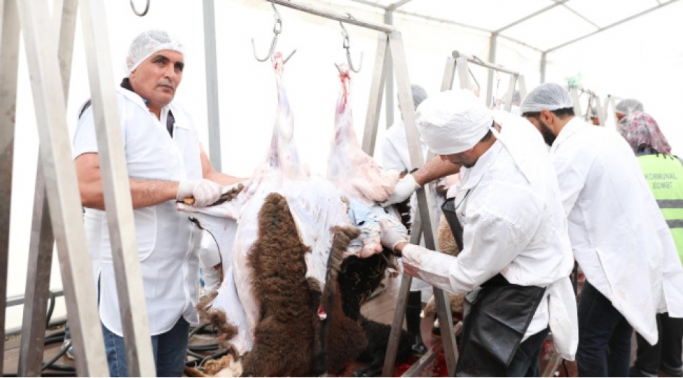 135-unvanda-qurbanliq-heyvanlarin-satishi-ve-kesimi-xidmetleri-gosterilir