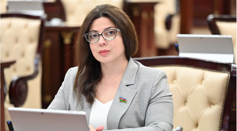 azerbaycan-insan-huquqlarinin-qorunmasi-sahesinde-olduqca-fealdir-deputat