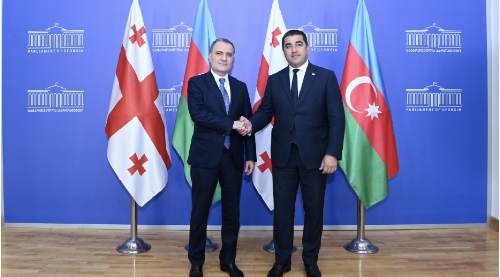 azerbaycanin-xarici-ishler-naziri-gurcustan-parlamentinin-sedri-ile-gorushub