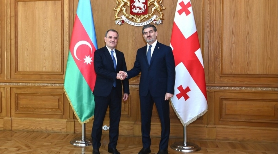 ceyhun-bayramov-gurcustan-prezidenti-ile-gorushub