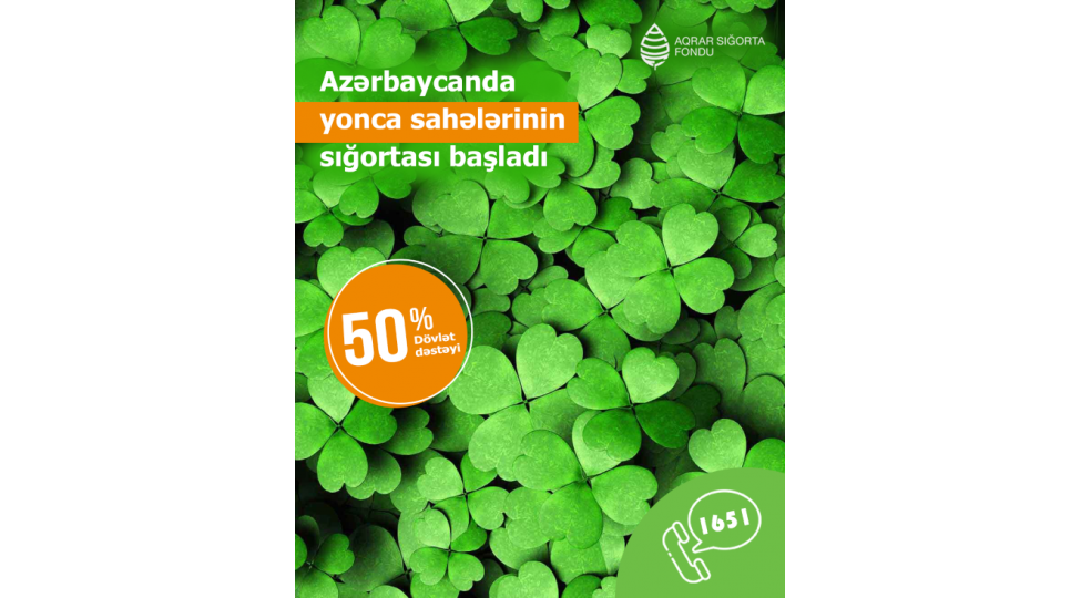 azerbaycanda-yonca-sahelerinin-sigortalanmasi-bashlandi-shertler-qiymetler