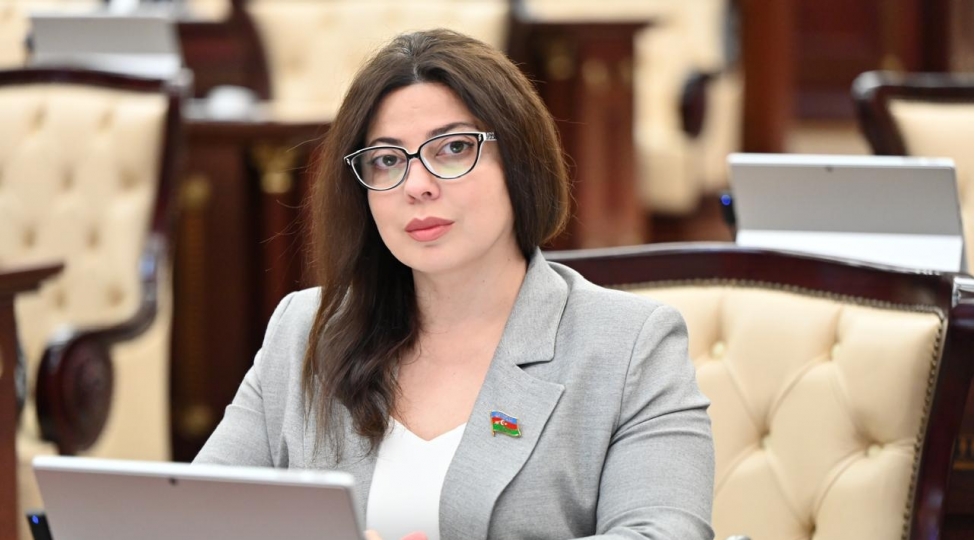 deputat-shehidler-xiyabaninda-chekilishlere-mehdudiyyet-ve-geyim-qadagalarinin-tetbiqini-teklif-edib