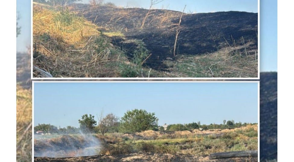 agdamda-ekin-sahesinde-yangin-toretmekde-shubheli-bilinen-shexs-saxlanilib