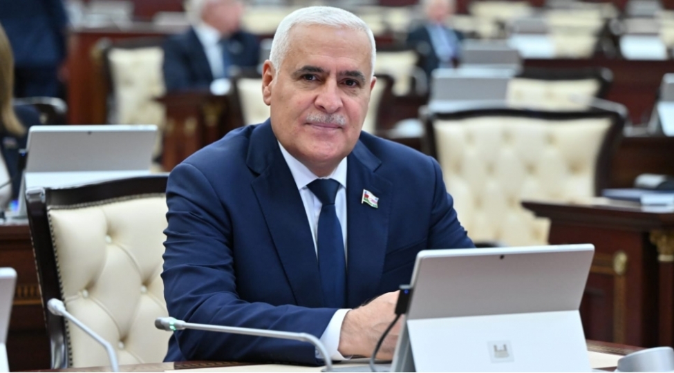 mehriban-xanim-eliyeva-vetenperverliyi-ve-xeyirxahligi-ile-milyonlarin-sevimlisine-chevrilib