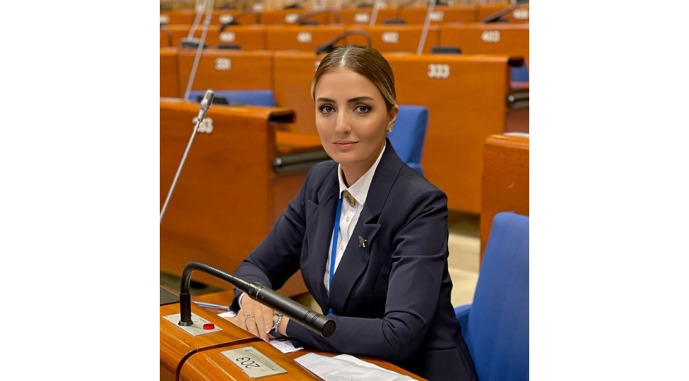 hindistanin-ciliz-siyaseti-butun-prinsiplere-ziddir