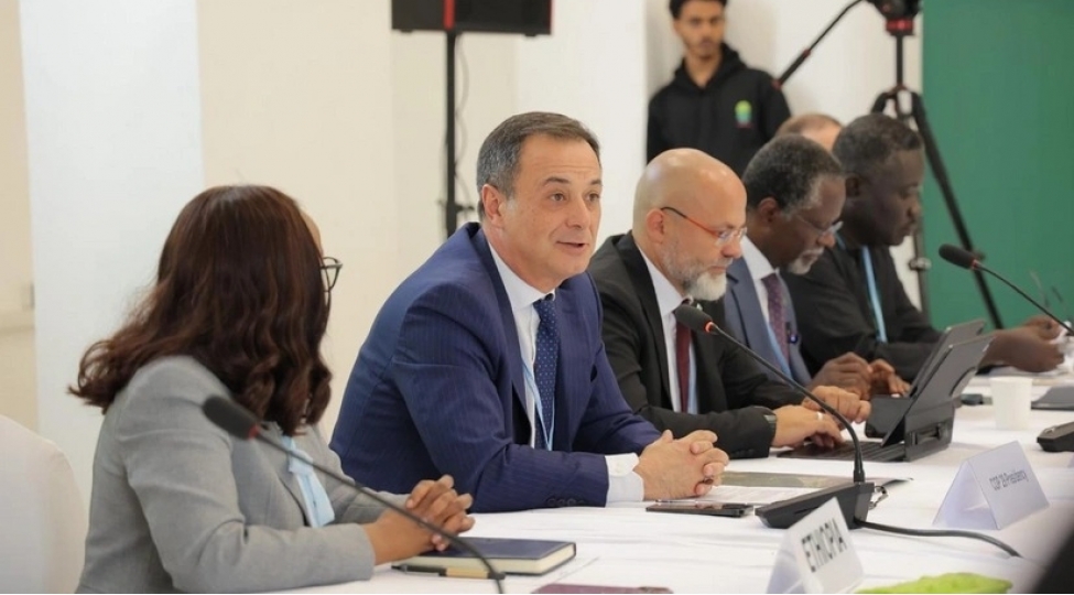 azerbaycanin-iqlim-ve-sulh-sahesindeki-diplomatik-fealiyyeti-afrikada-yuksek-qiymetlendirilib