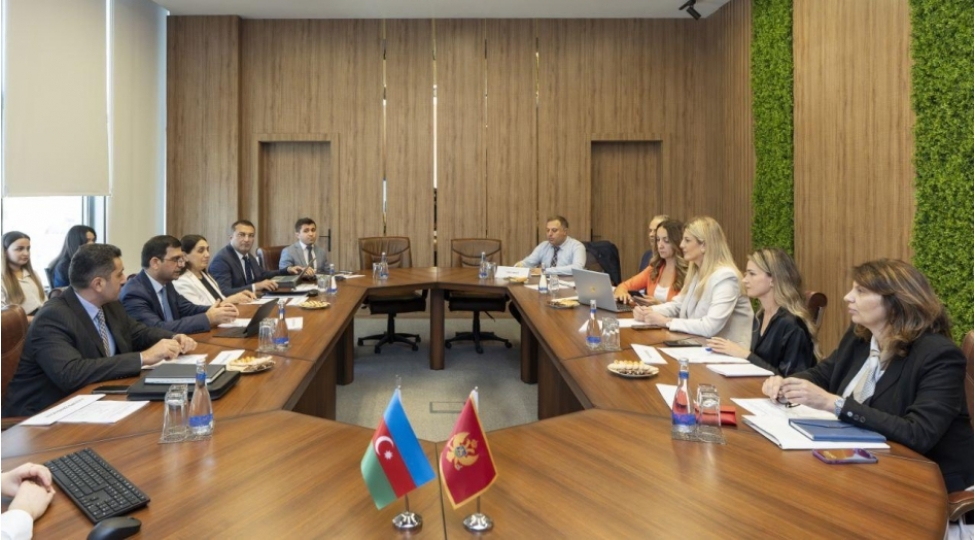 monteneqronun-numayende-heyeti-ile-pensiya-teminati-sahesinde-muzakireler-aparilib