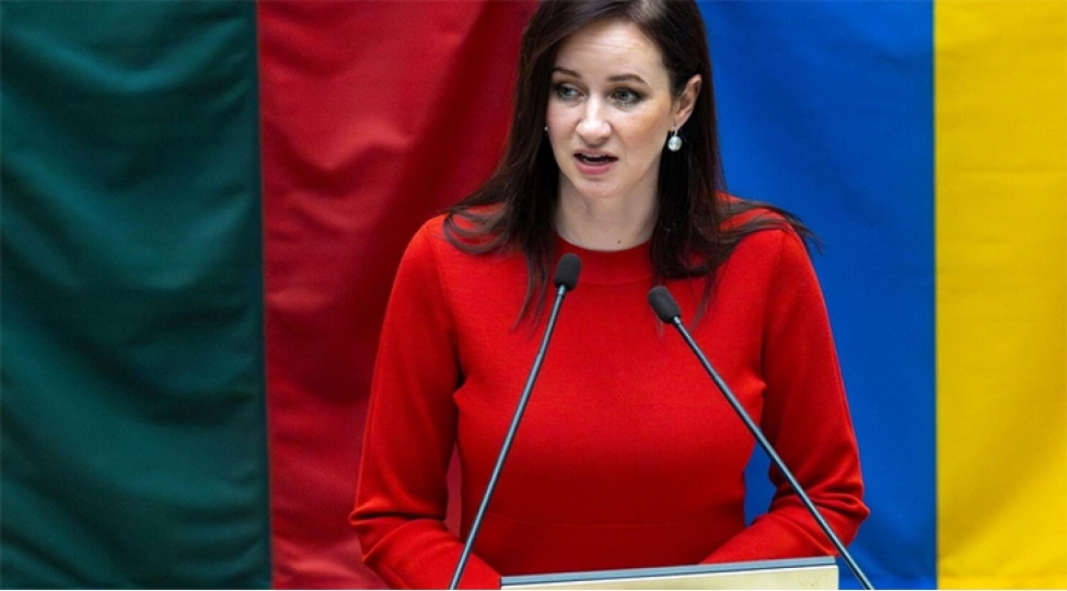 litva-hava-qachaqmalchiligi-ile-mubarizeye-konullu-strukturlar-celb-edecek