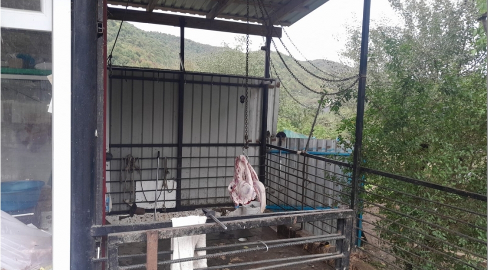 4-min-748-heyvan-kesimi-ve-et-satishi-magazasinda-monitorinq-kechirilib