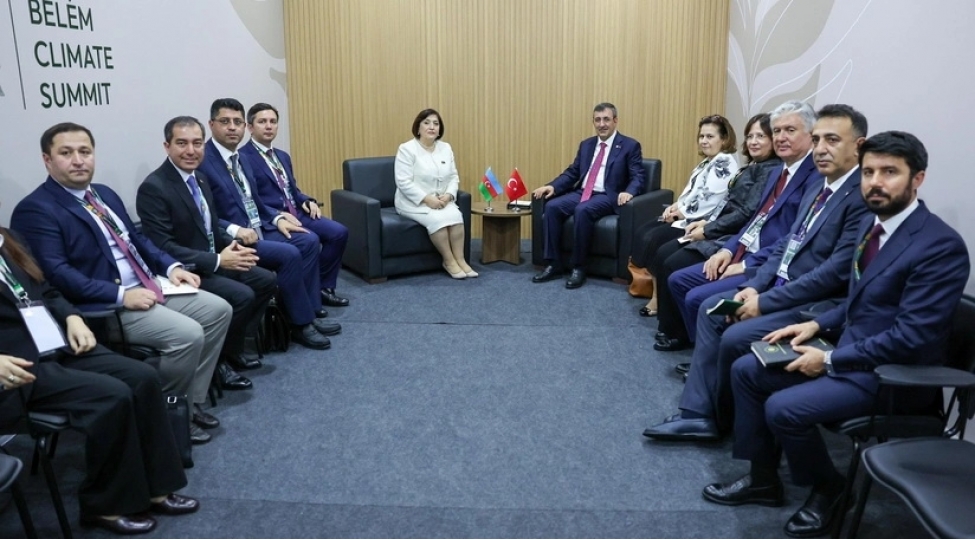 milli-meclisin-sedri-turkiye-respublikasinin-vitse-prezidenti-ile-gorushub