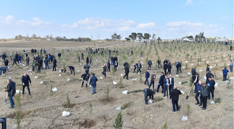 adsea-terefinden-ceyranbatan-su-anbarinin-erazisinde-agacekme-aksiyasi-teshkil-olunub