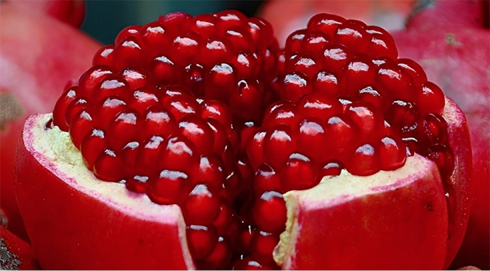 goychay-nar-festivalinda-narin-qiymetleri-achiqlanib