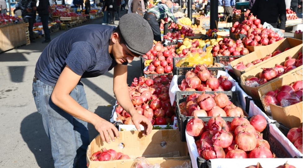 goychayda-enenevi-nar-festivali-kechirildi