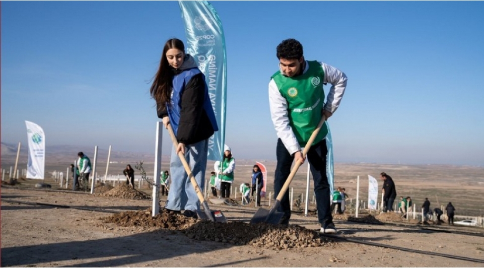geleceye-nefes-aksiyasi-cherchivesinde-111-min111-agac-ekilecek
