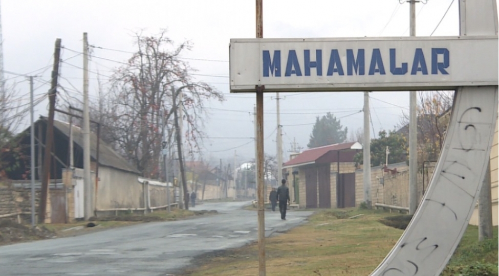 balakende-choban-iti-yashli-kishini-parchalayaraq-oldurub