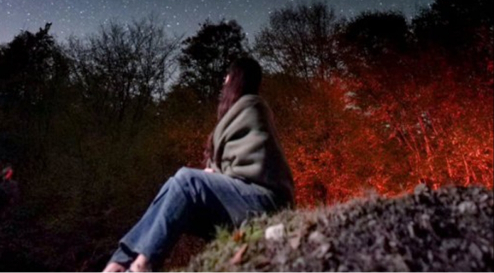 leyla-eliyevanin-qebeleden-maraqli-fotolari